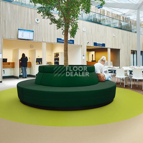 Forbo Marmoleum Decibel on Order 363035 angora фото 2 | FLOORDEALER